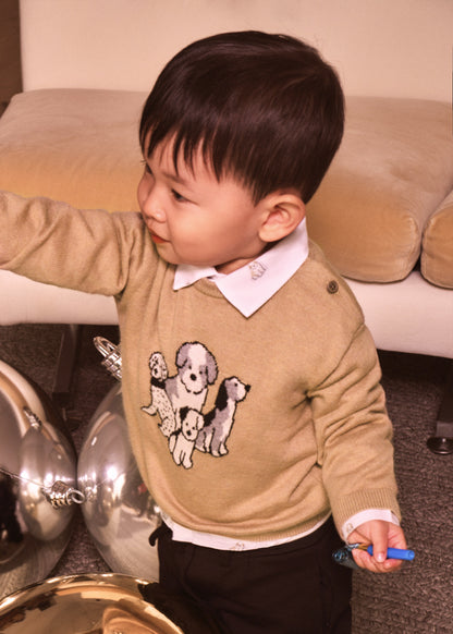 Maglioncino DOG   2372