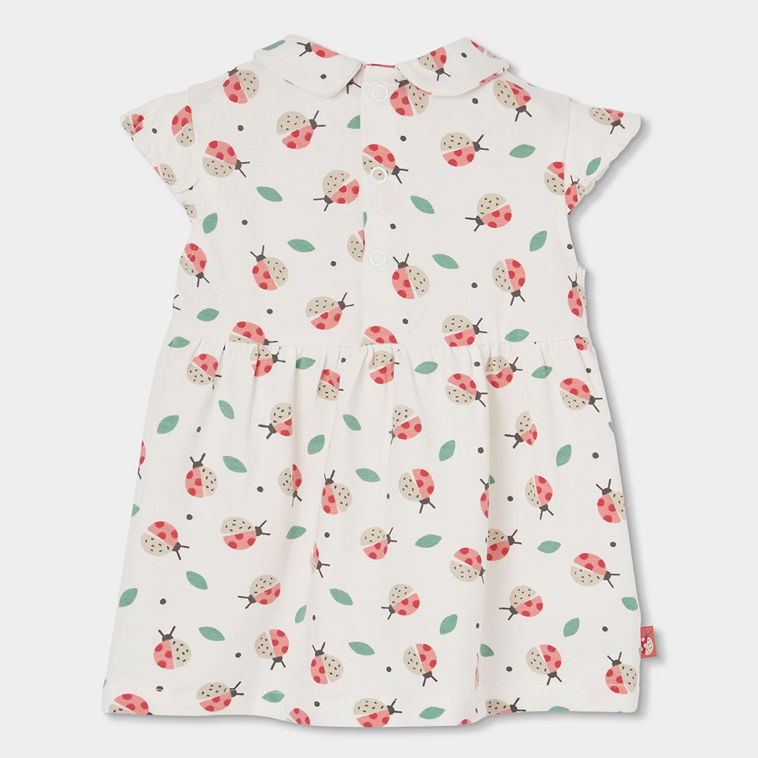 Abito Bimba Coccinelle 113083 - Coccole e Ricami p.iva IT09642670583