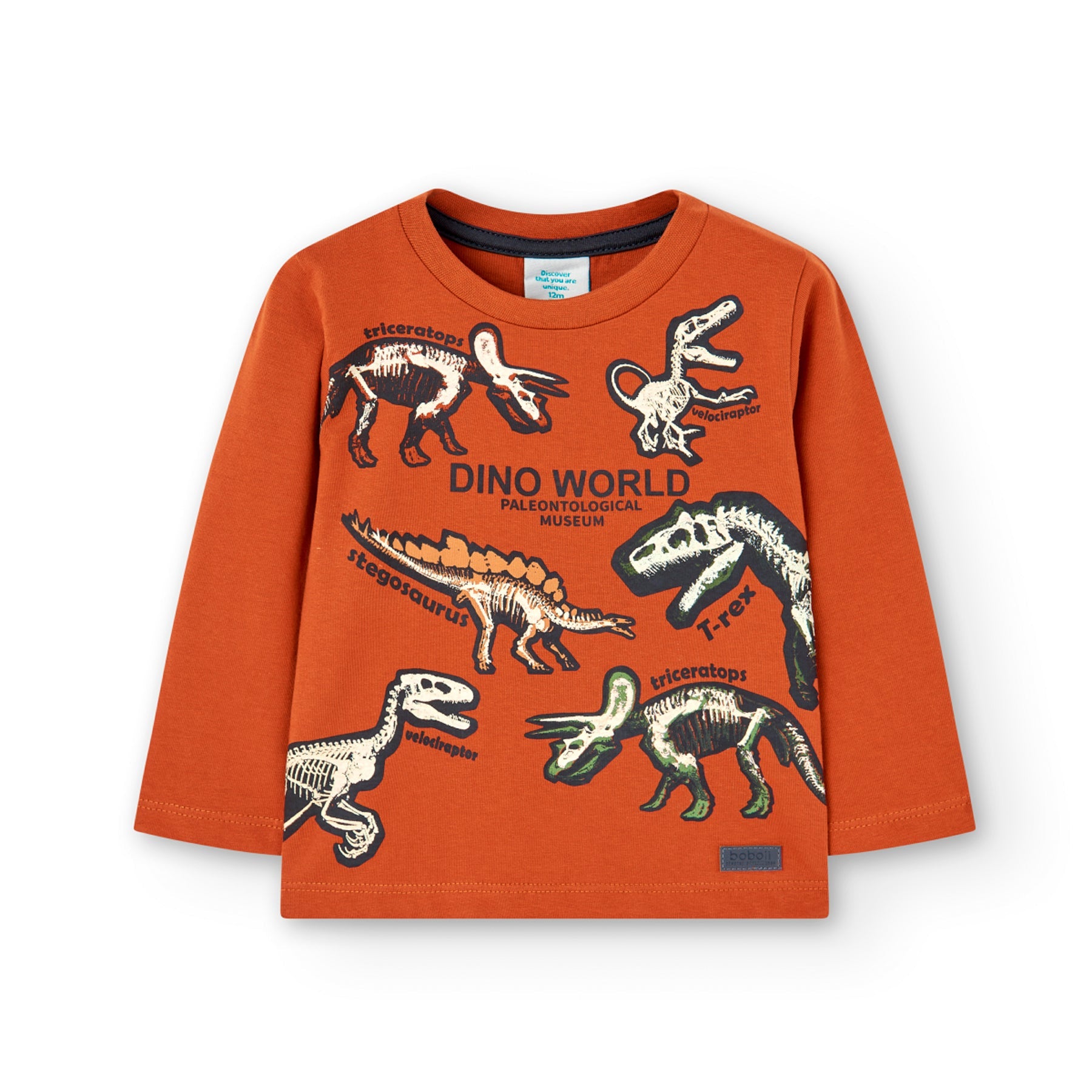 Maglietta Dinosauri - Coccole e Ricami P.iva 09642670583